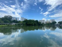 Blk 534 Panshan Grove (Bukit Panjang), HDB 5 Rooms #530313561